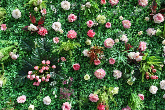 花墻 綠植 植物墻