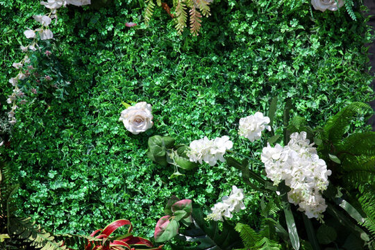 綠色植物墻 花墻 綠植 植物墻