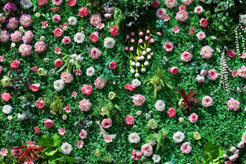 花墙 绿植 植物墙