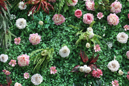 綠色植物墻 花墻 綠植