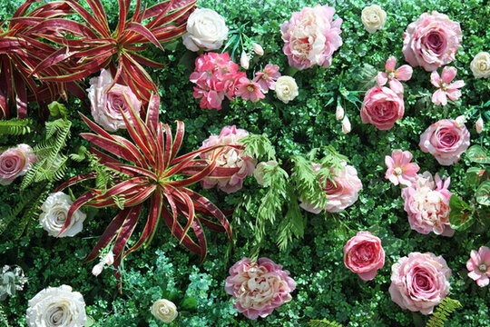 花墻 綠植 植物墻