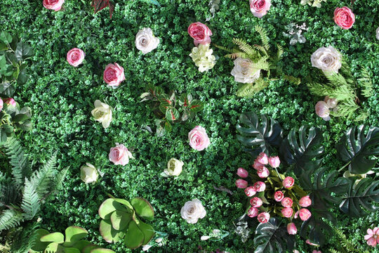 綠色植物墻 花墻 綠植 植物墻