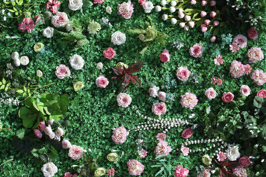 綠植 植物墻