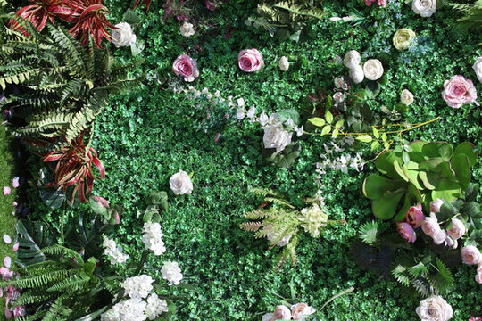 綠色植物墻 花墻 綠植