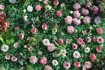 綠色植物墻 花墻 綠植 植物墻