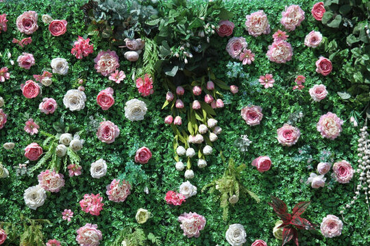 綠色植物墻 花墻 綠植