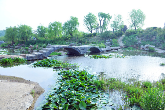 湖面石橋 小橋流水