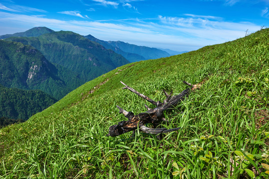 江西武功山