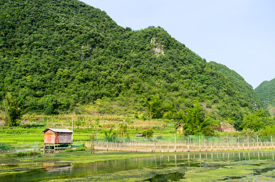 農(nóng)村風(fēng)光
