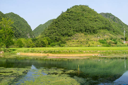 八寶鄉(xiāng)村風(fēng)光