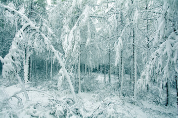 冰雪世界 童話世界