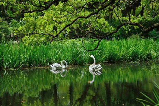 上海共青森林公園