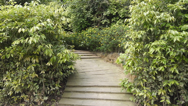 石階素材