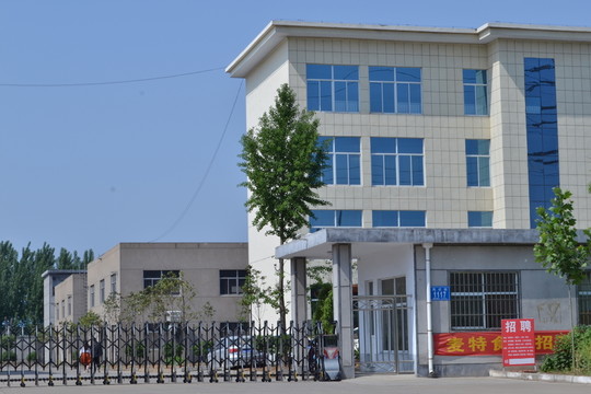 自動(dòng)門 企業(yè)大門