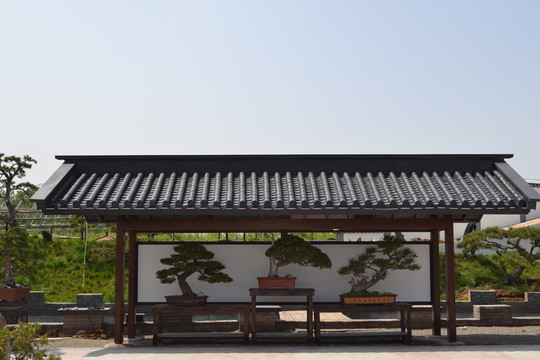 影壁墻 古代建筑