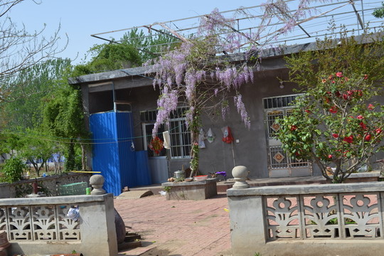 農(nóng)家小院