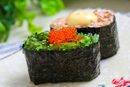 海草軍艦