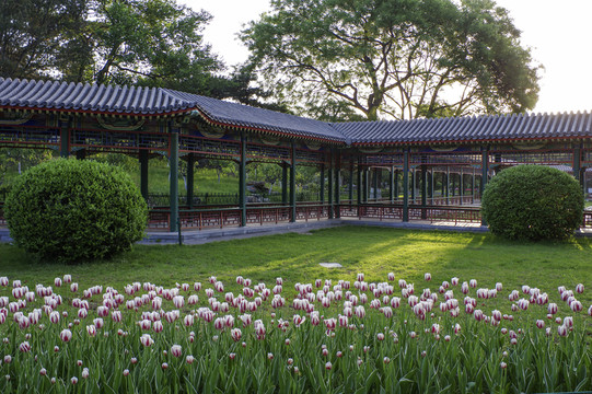 北京中山公園