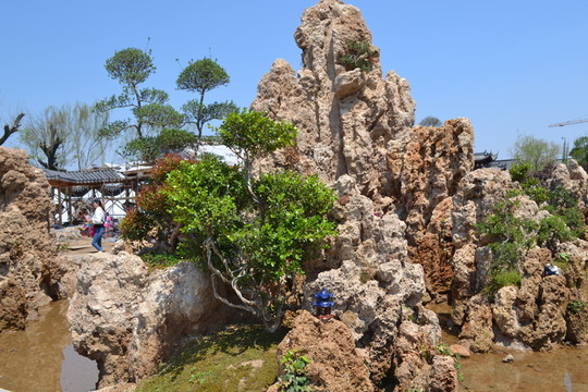 假山 上水石