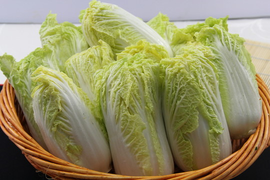 高山娃娃菜