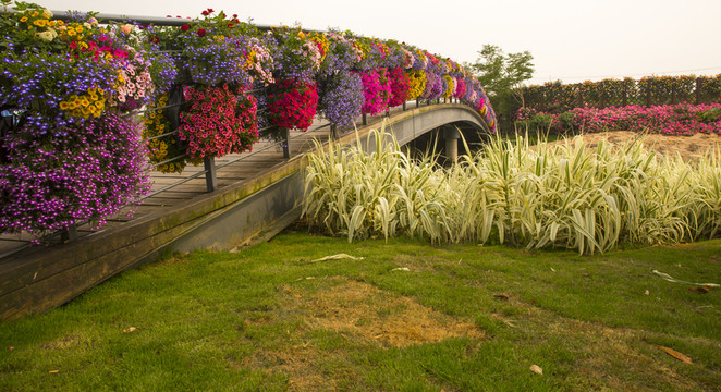 花 花橋 木橋 公園