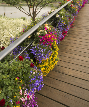 花 花橋 木橋 公園