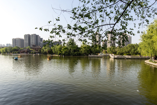 湖岸風光