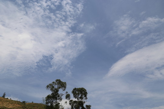 風(fēng)輕云淡