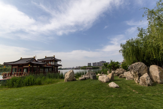 曲江池公園夏景