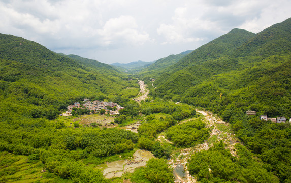 河流 東水 竹林