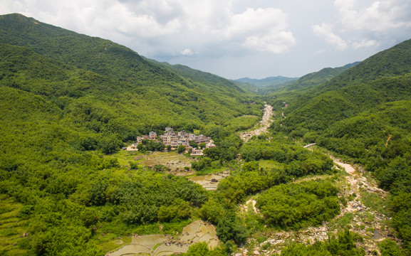 河流 東水 竹林