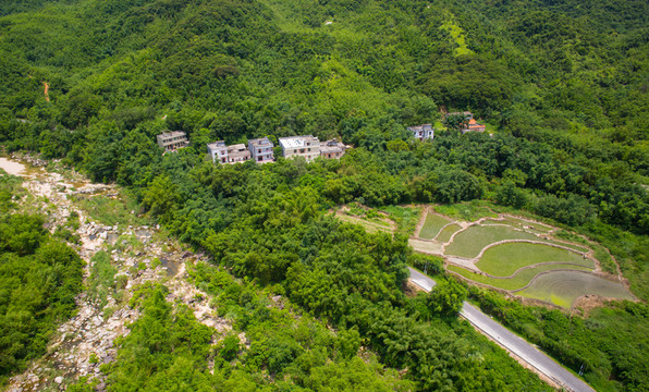 河流 東水 竹林