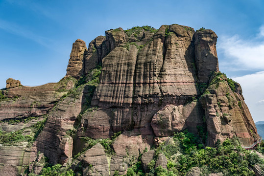 駱駝峰