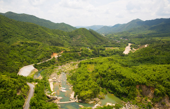 河流 東水 竹林