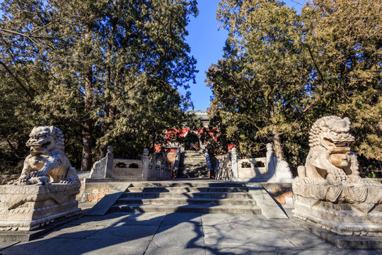 香山公園碧云寺