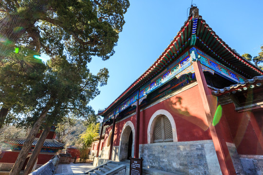 香山公園碧云寺