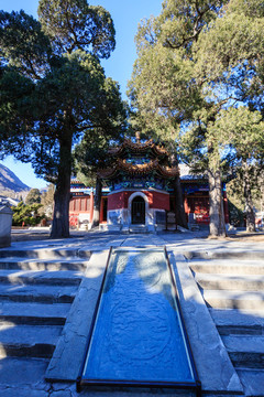 香山公園碧云寺