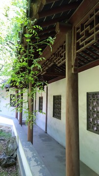 長廊