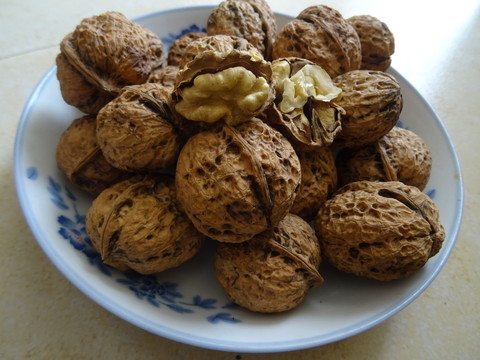 核桃