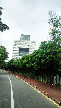 深圳大學