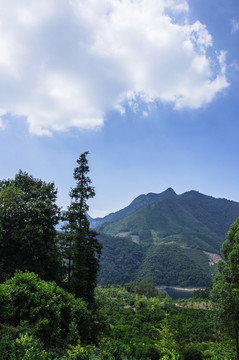山景風光