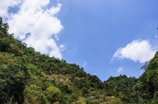 山景風(fēng)光