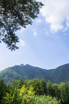 山景風(fēng)光