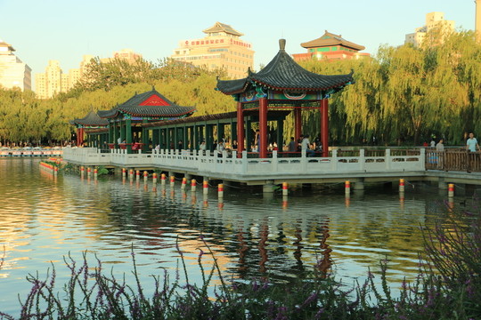 蓮花池公園
