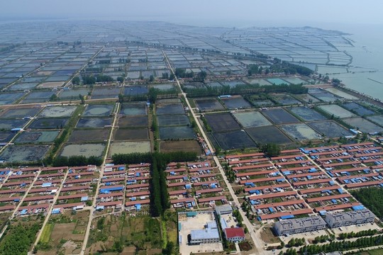 航拍洪澤湖濕地公園自然景觀
