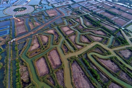 航拍洪澤湖濕地公園自然景觀