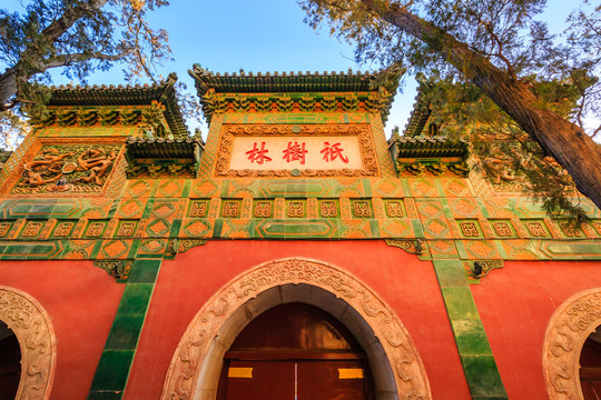 頤和園萬壽山祇樹林牌坊