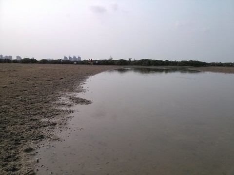 北海紅樹林
