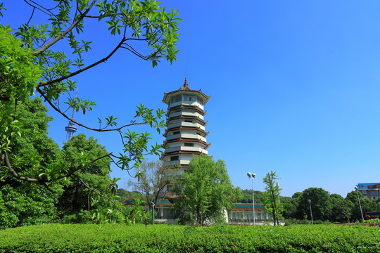 藍(lán)天白塔