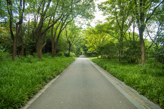 公園景觀